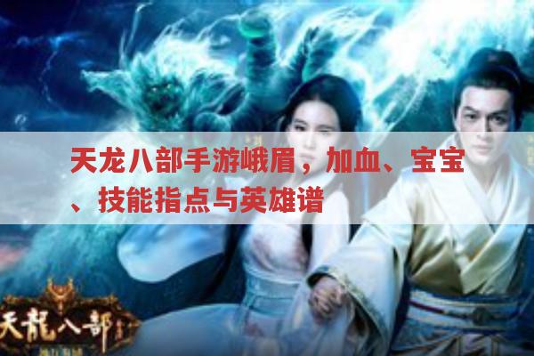 天龙八部手游峨眉,加血、血量、宝宝、技能指点与英雄谱