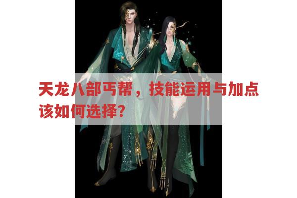 天龙八部丐帮,定位、属性、技能加点与指点有何独特之处?