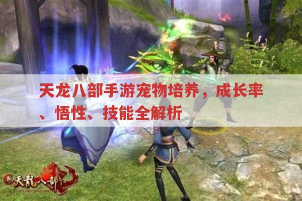 天龙八部手游宠物培养,成长率、悟性、技能全解析