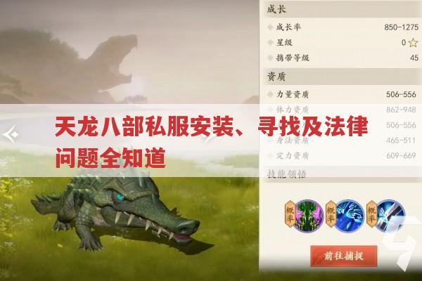天龙八部私服怎么安装?有哪些特别之处?