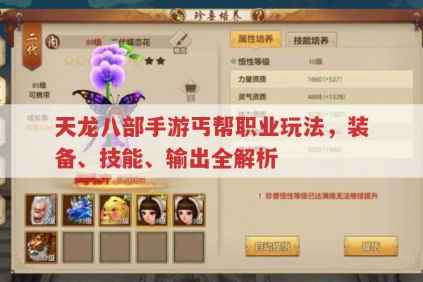 天龙八部手游丐帮,装备、技能及输出方式全解析