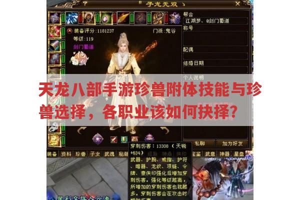 天龙八部手游珍兽附体技能与珍兽选择对应各职业