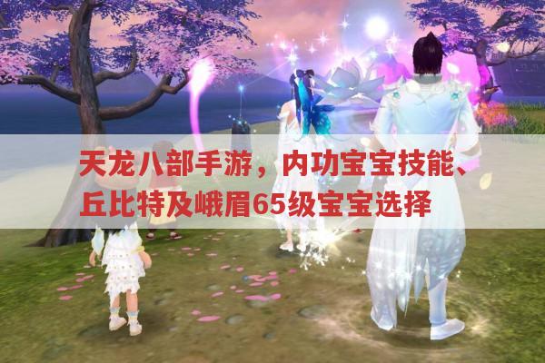 天龙八部手游,内功宝宝技能与峨眉宝宝选择及丘比特技能搭配