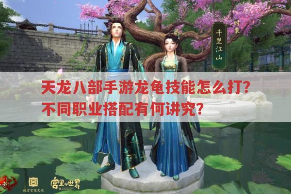 天龙八部手游龙龟宝宝技能怎么打?不同职业如何搭配?