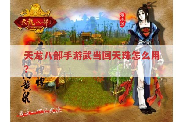 天龙八部手游武当回天珠怎么用?