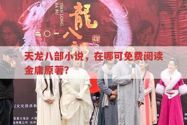 天龙八部小说-哪里能免费阅读金庸原著?