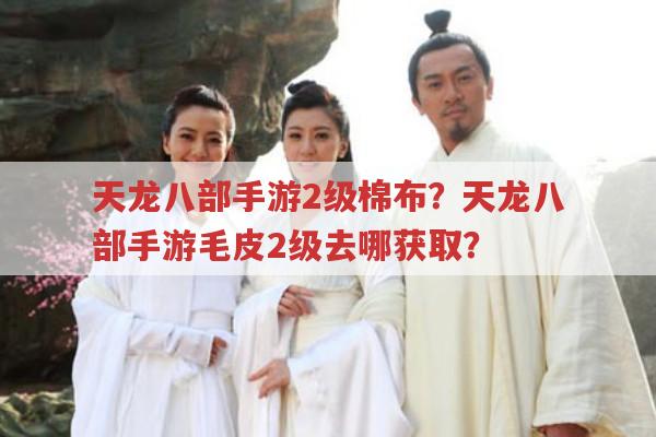 天龙八部手游2级棉布?2级毛皮去哪获取?