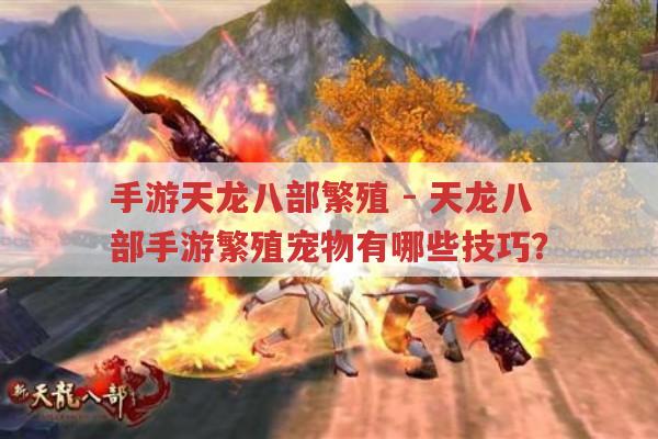 手游天龙八部繁殖-天龙八部手游繁殖宠物技巧有哪些?