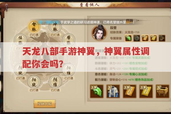 天龙八部手游神翼,神翼属性调配有啥技巧?