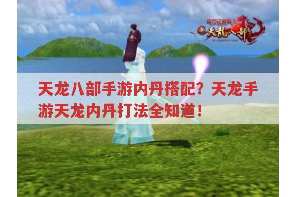 天龙八部手游内丹搭配?天龙手游天龙内丹怎么打?