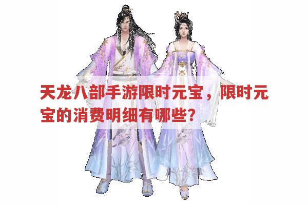 天龙八部手游限时元宝,限时元宝能用来买啥?