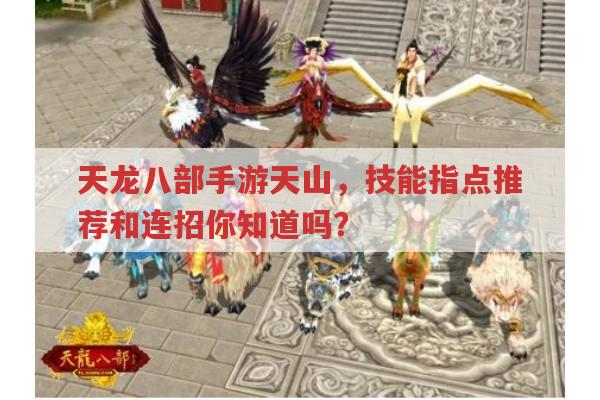 天龙八部手游天山,技能指点和连招该怎么玩?