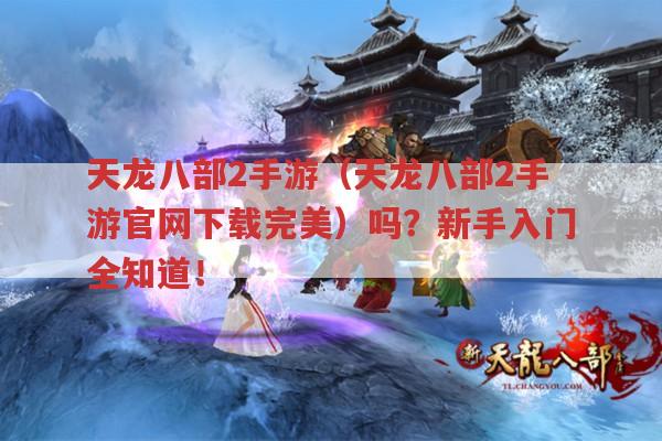 天龙八部2手游（天龙八部2手游官网下载完美）吗?新手入门攻略有哪些?