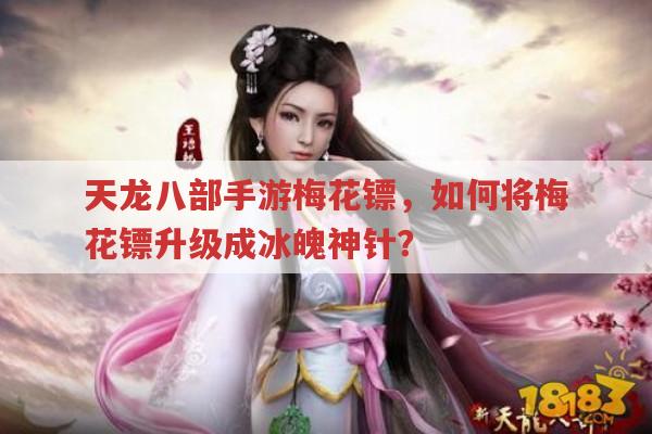 天龙八部手游梅花镖,升级冰魄神针需要啥条件?