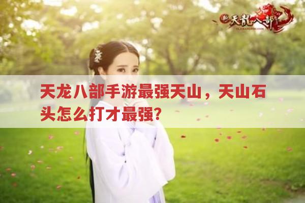 天龙八部手游最强天山,天山石头最强打法是怎样的?